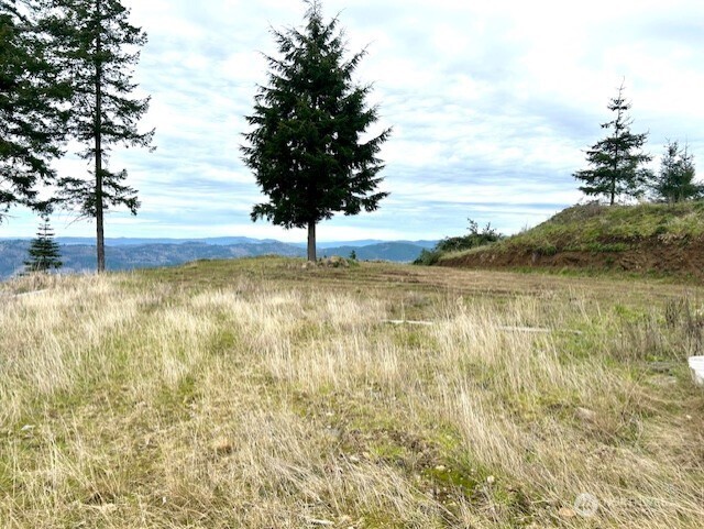 0 China Garden Road Kalama, WA 98625 - Photo 21 of 23 a view of yard with trees