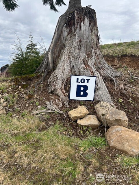 0 China Garden Road Kalama, WA 98625 - Photo 22 of 23 a sign that is sitting on a rock
