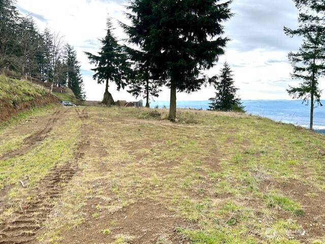 0 China Garden Road Kalama, WA 98625 - Photo 23 of 23 a view of yard with trees