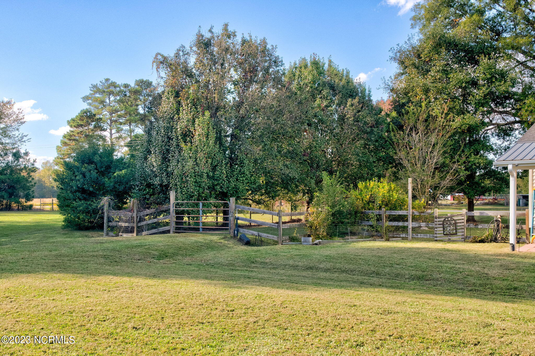 5201 Coras Grove Road Willard, NC 28478 - Photo 43 of 57 55-web-or-mls-5201 Coras Grove Rd-155