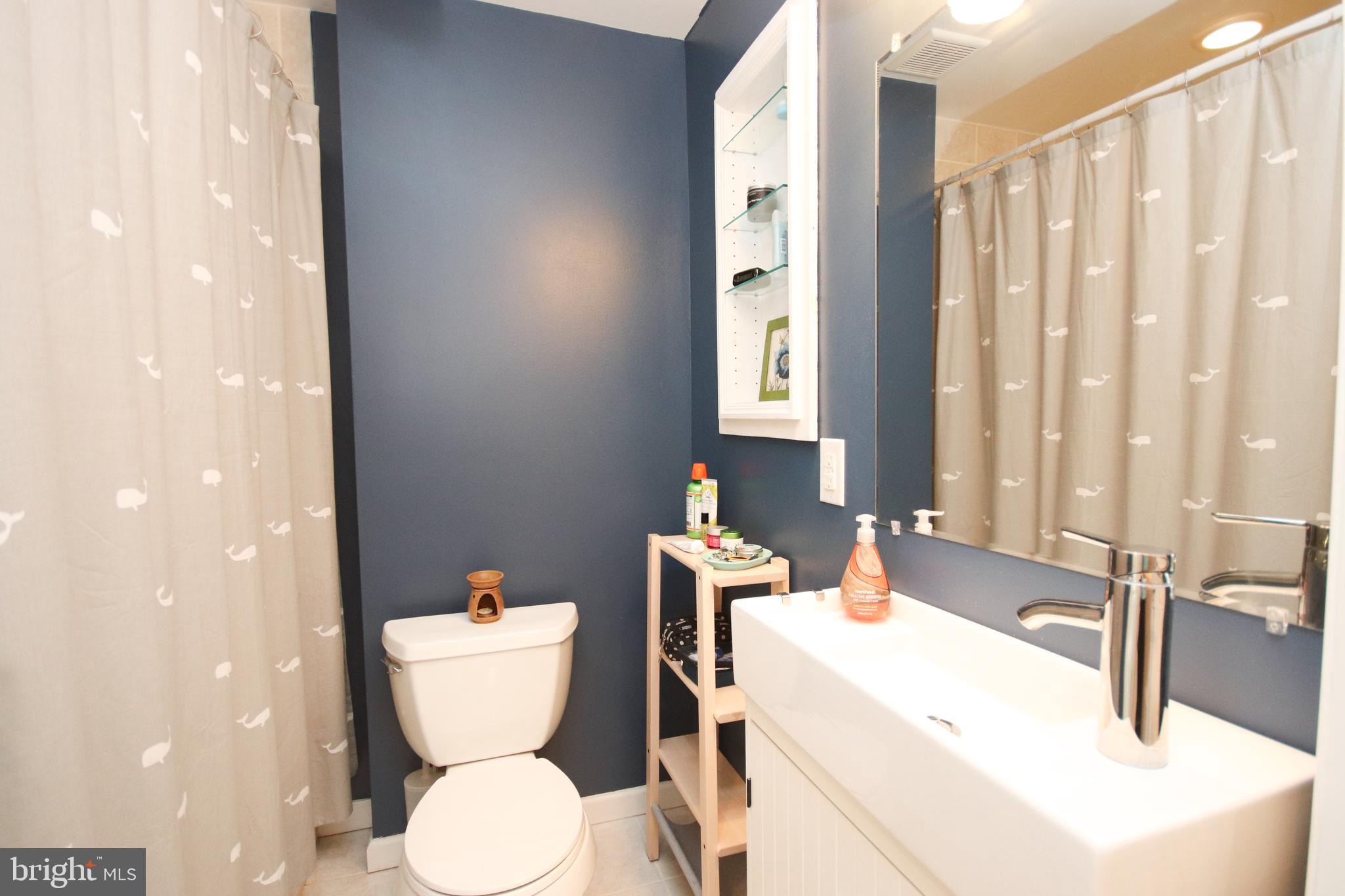 211 Walnut Street Spring City, PA 19475 - Photo 12 of 20 Bathroom
