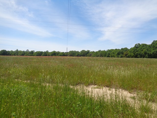 6.57 National Road Dothan, AL 36301 - Photo 5 of 9