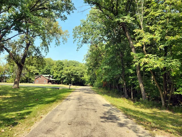 a view of a trees with a yard