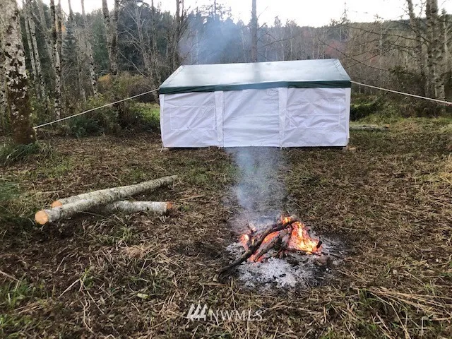 a view of a forest with trees