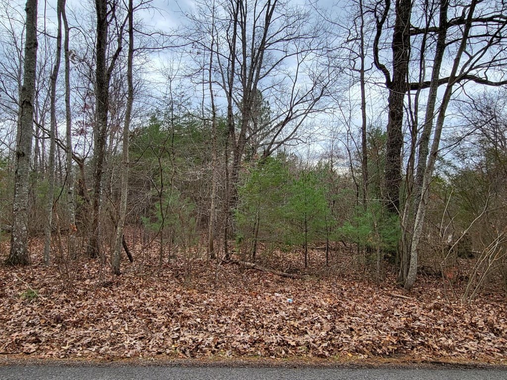 0 Bennie Camp Road Dunlap, TN 37327 - Photo 2 of 5 Gallery Image 2