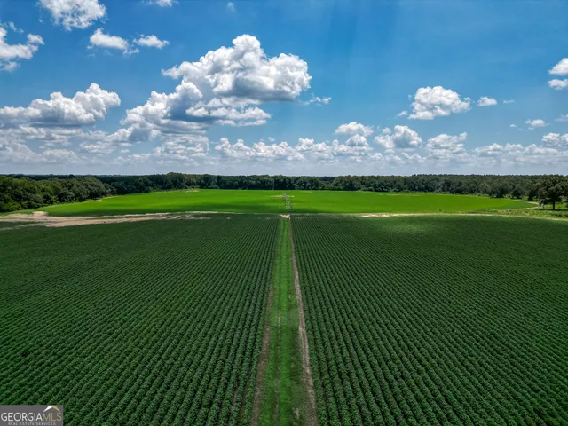 a view of a golf course