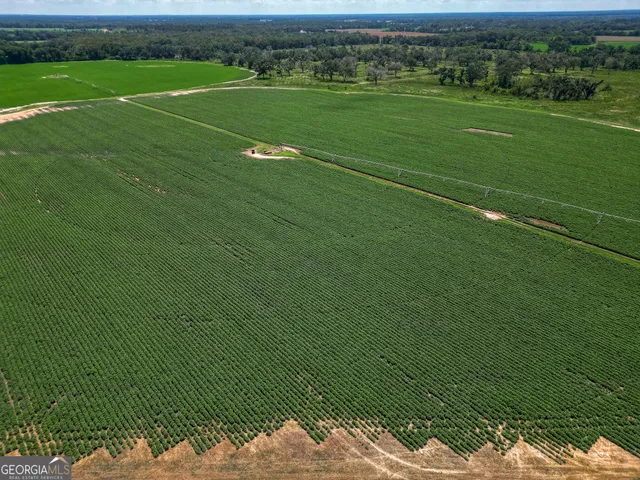 a view of a green field with clear sky view