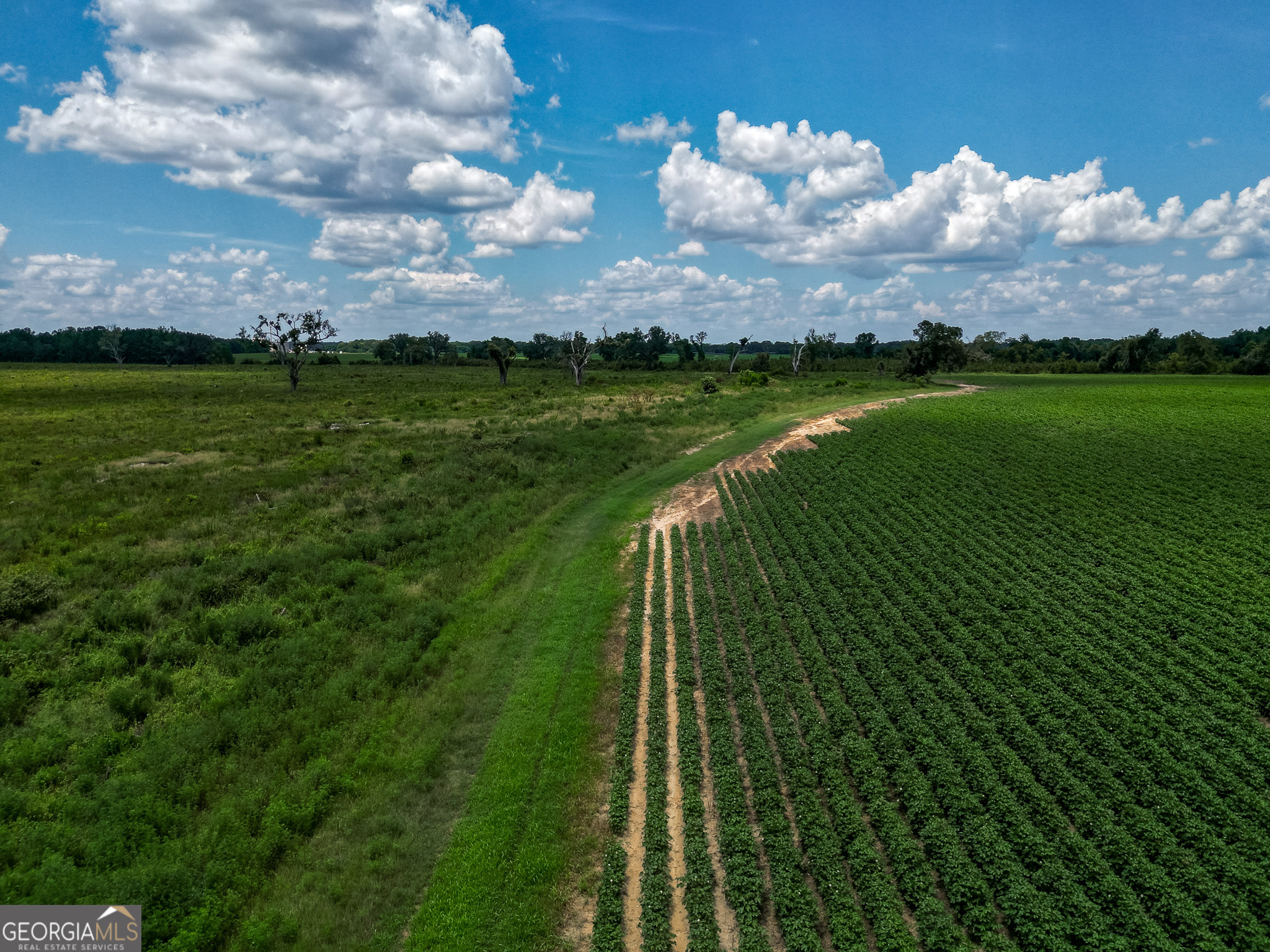 0 Nantze Springs Road Leary, GA 39862 - Photo 14 of 21 a view of a golf course with a lake