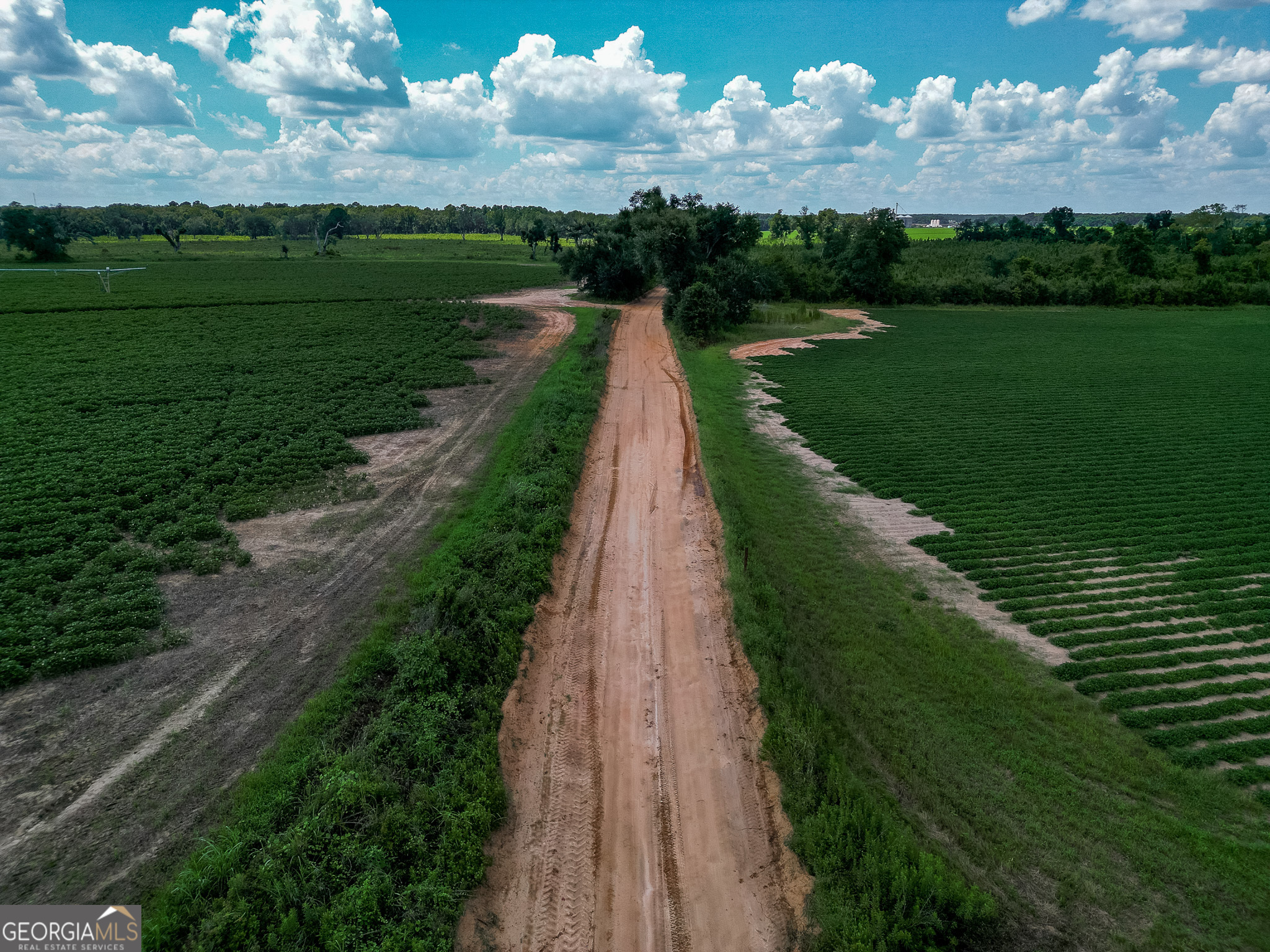 0 Nantze Springs Road Leary, GA 39862 - Photo 15 of 21 a view of a lake with a big yard