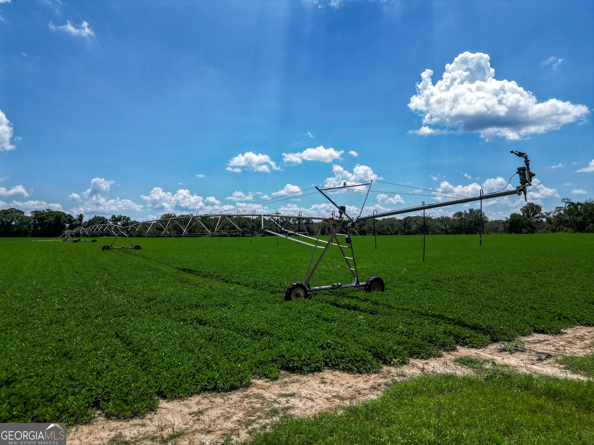 0 Nantze Springs Road Leary, GA 39862 - Photo 16 of 21 a view of a golf course with a lake