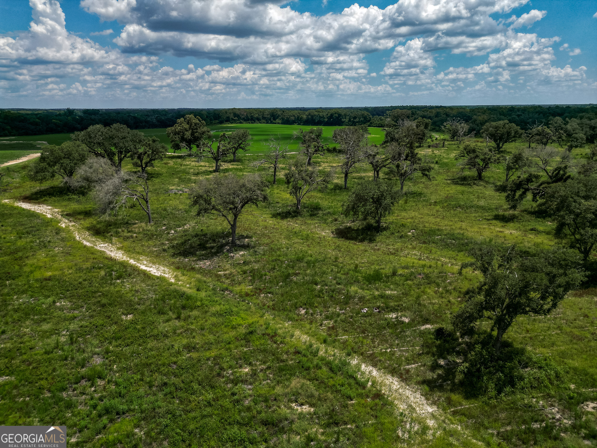 0 Nantze Springs Road Leary, GA 39862 - Photo 17 of 21 a view of outdoor space and yard