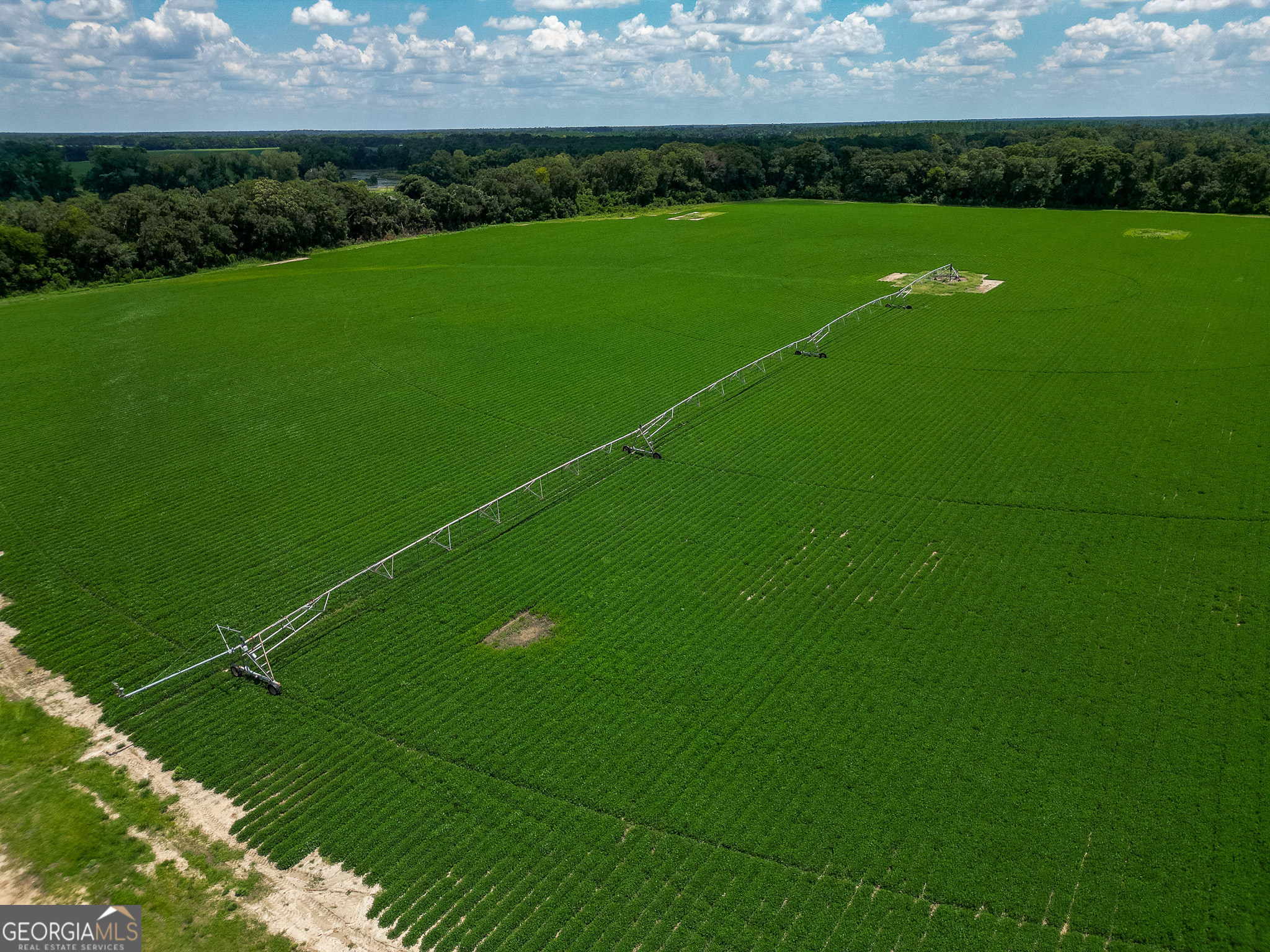 0 Nantze Springs Road Leary, GA 39862 - Photo 19 of 21 a view of a golf course with a field