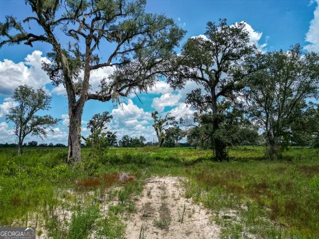 $1,530,000 | 0 Nantze Springs Road, Leary, GA 39862