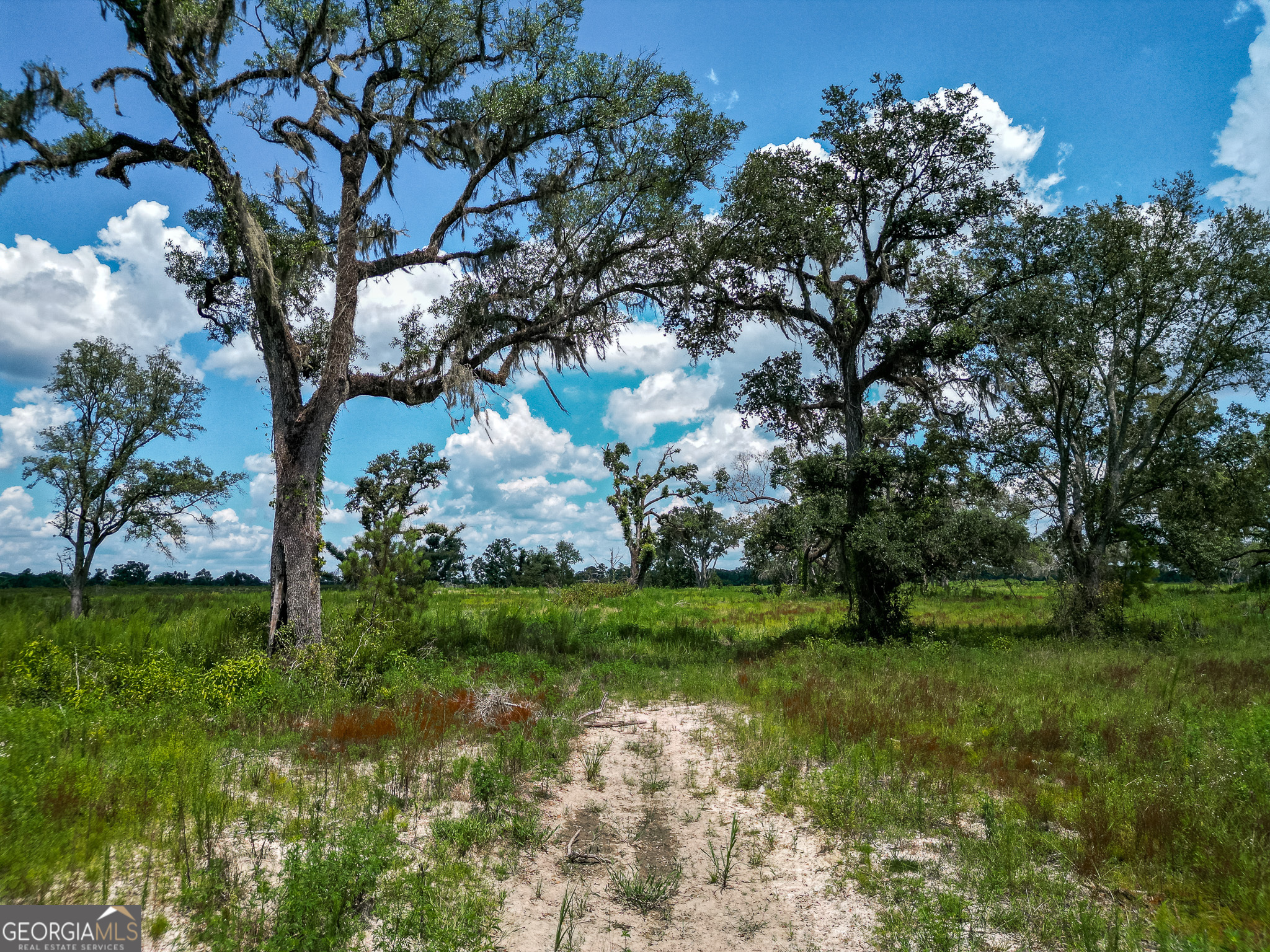 0 Nantze Springs Road Leary, GA 39862 - Photo 20 of 21 a backyard of a house with lots of green space