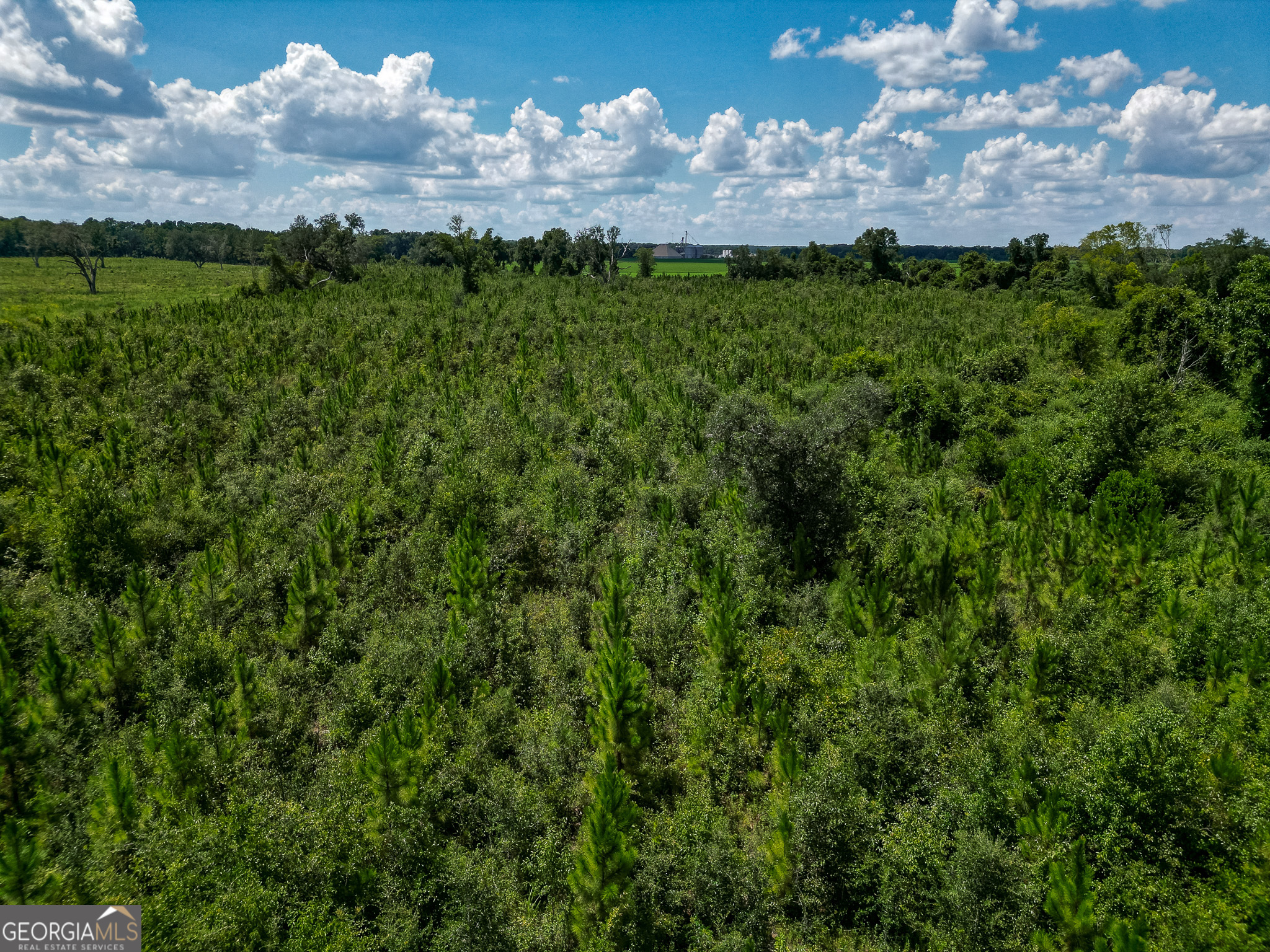 0 Nantze Springs Road Leary, GA 39862 - Photo 2 of 21 a view of a houses with a yard
