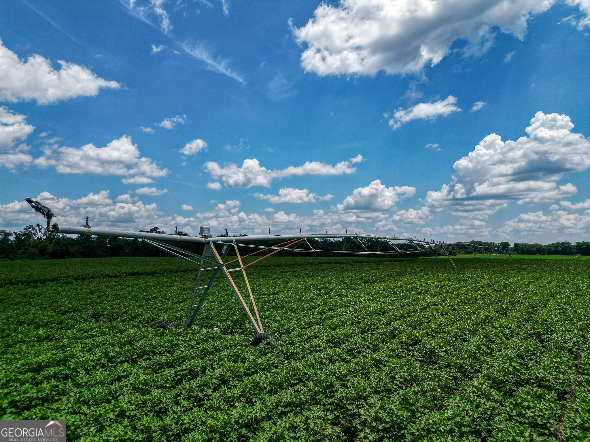 0 Nantze Springs Road Leary, GA 39862 - Photo 21 of 21 a view of a golf course with a lake