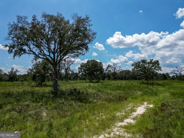 a view of a big yard with large trees