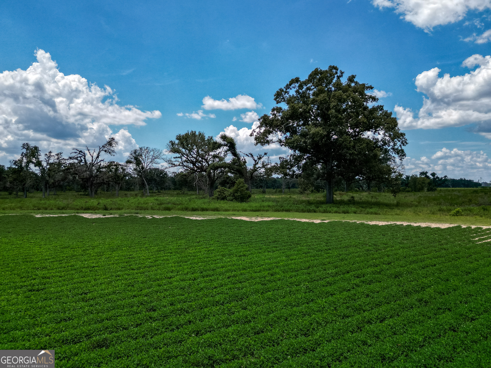 0 Nantze Springs Road Leary, GA 39862 - Photo 6 of 21 a view of a golf course