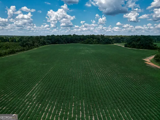 a view of a golf course with green space