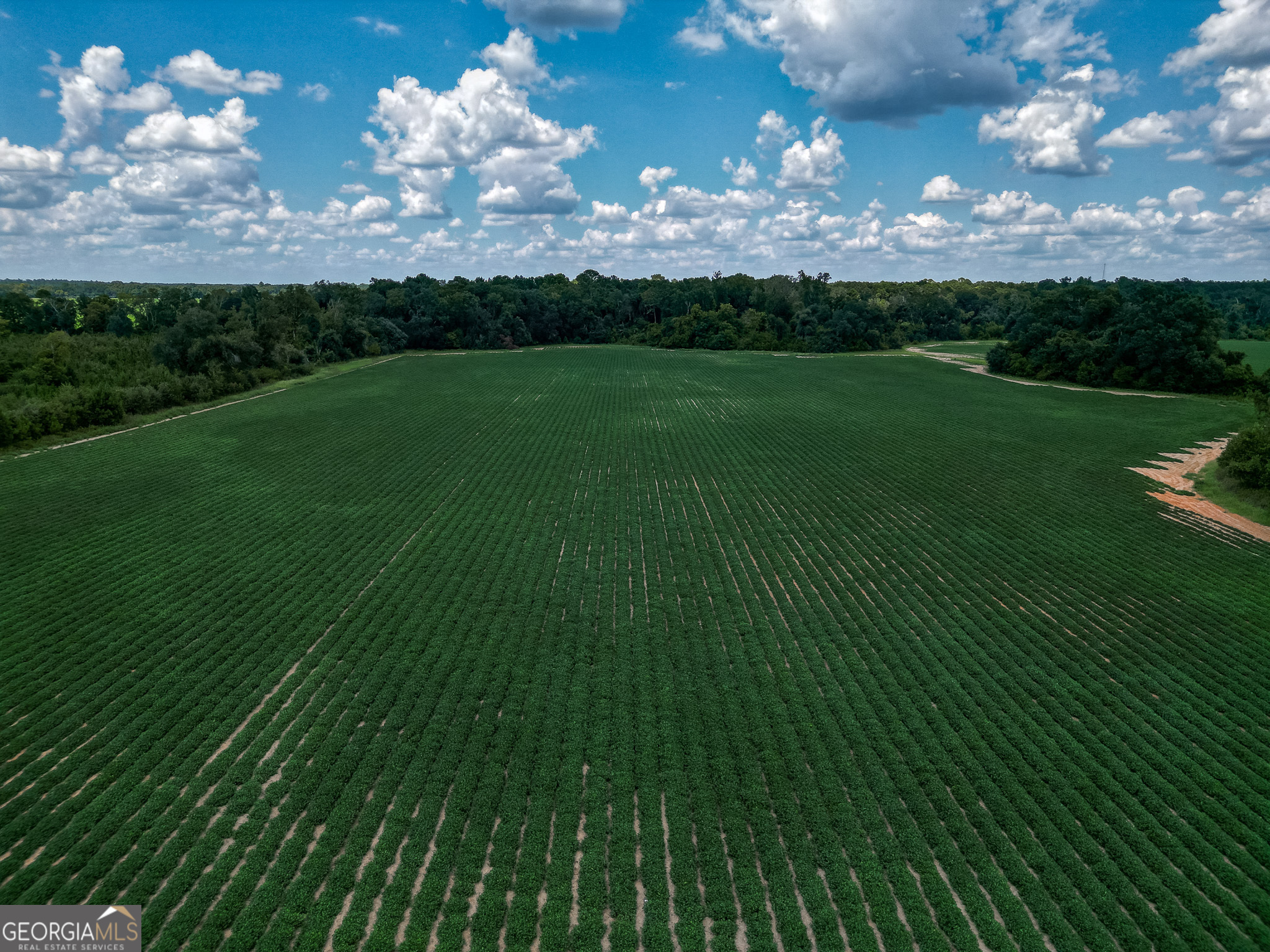 0 Nantze Springs Road Leary, GA 39862 - Photo 8 of 21 a view of a golf course with green space