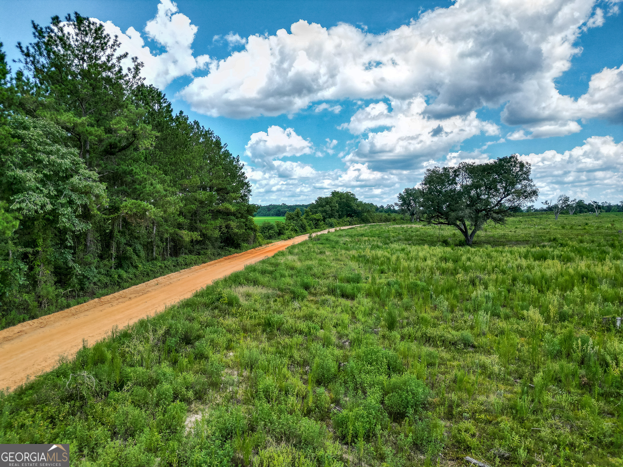 0 Nantze Springs Road Leary, GA 39862 - Photo 10 of 21