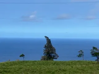 a view of balcony with furniture and a potted plant