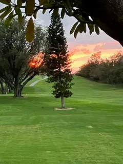 a view of a big yard with an outdoor space and seating