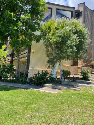a tree in a yard with potted plants