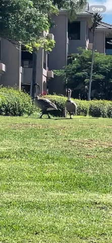 a view of swimming pool with seating space