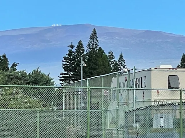 a view of yard with car parked