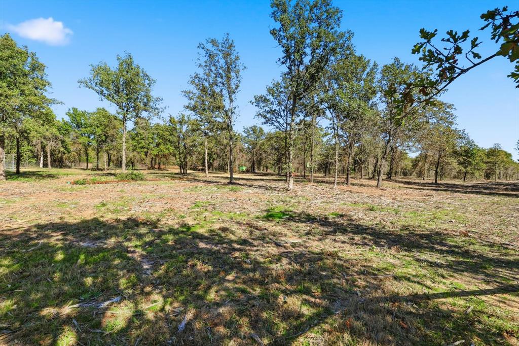 138 Gobbler Road Nocona, TX 76255 - Photo 27 of 35 a view of dirt field with trees