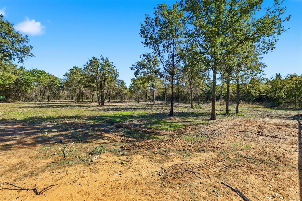 138 Gobbler Road Nocona, TX 76255 - Photo 28 of 35 a view of a yard with a tree