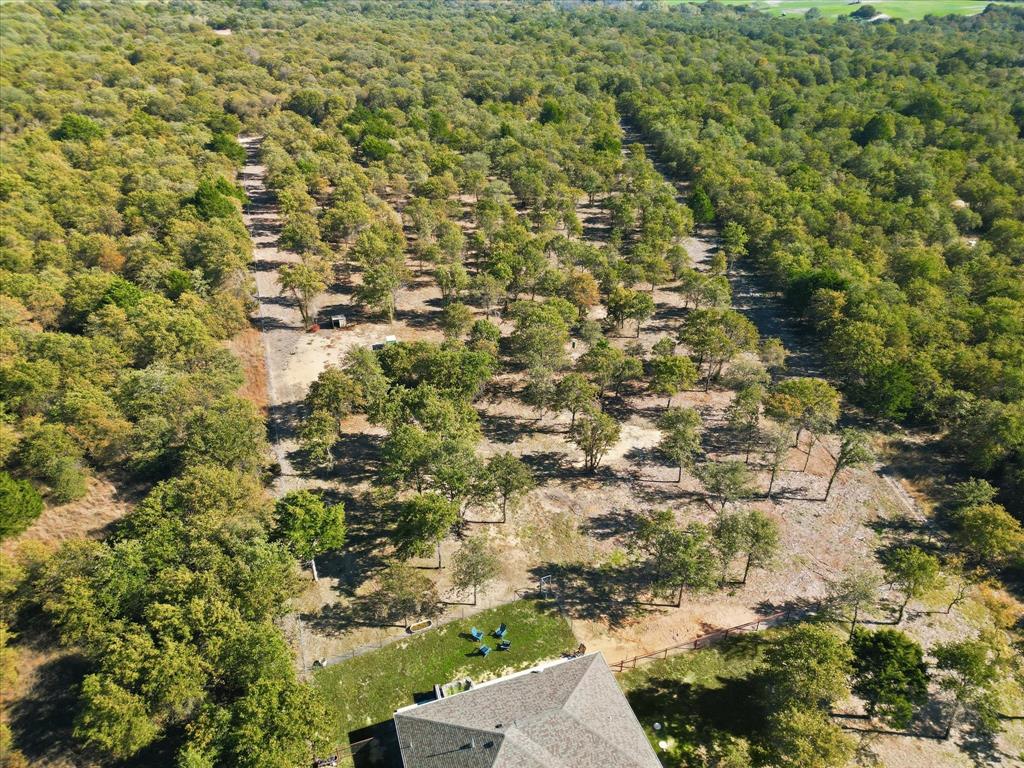 138 Gobbler Road Nocona, TX 76255 - Photo 32 of 35 a view of a yard