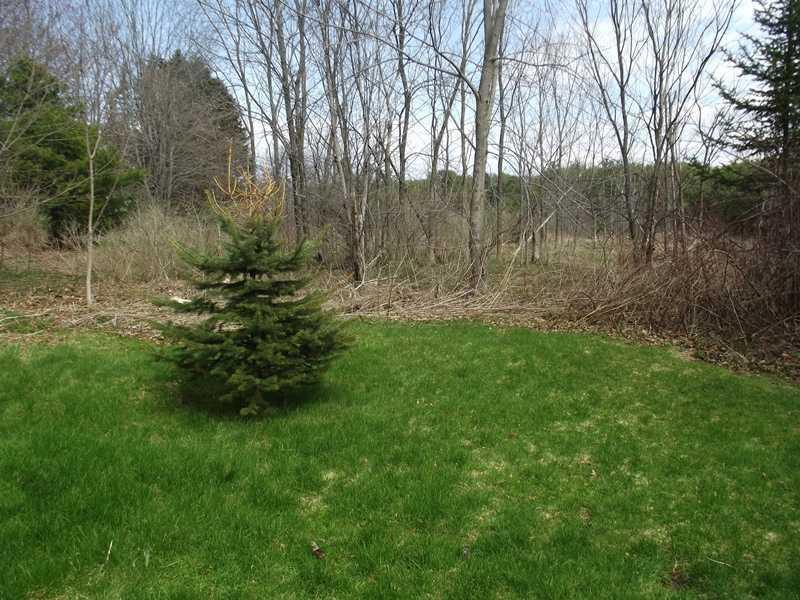 371 Riverside Drive Augusta, ME 04330 - Photo 13 of 13 Yard/Garden.