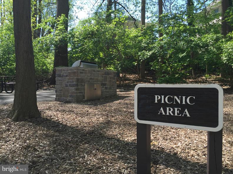 5225 Pooks Hill Road, Unit 809N Bethesda, MD 20814 - Photo 17 of 22 Picnic Area