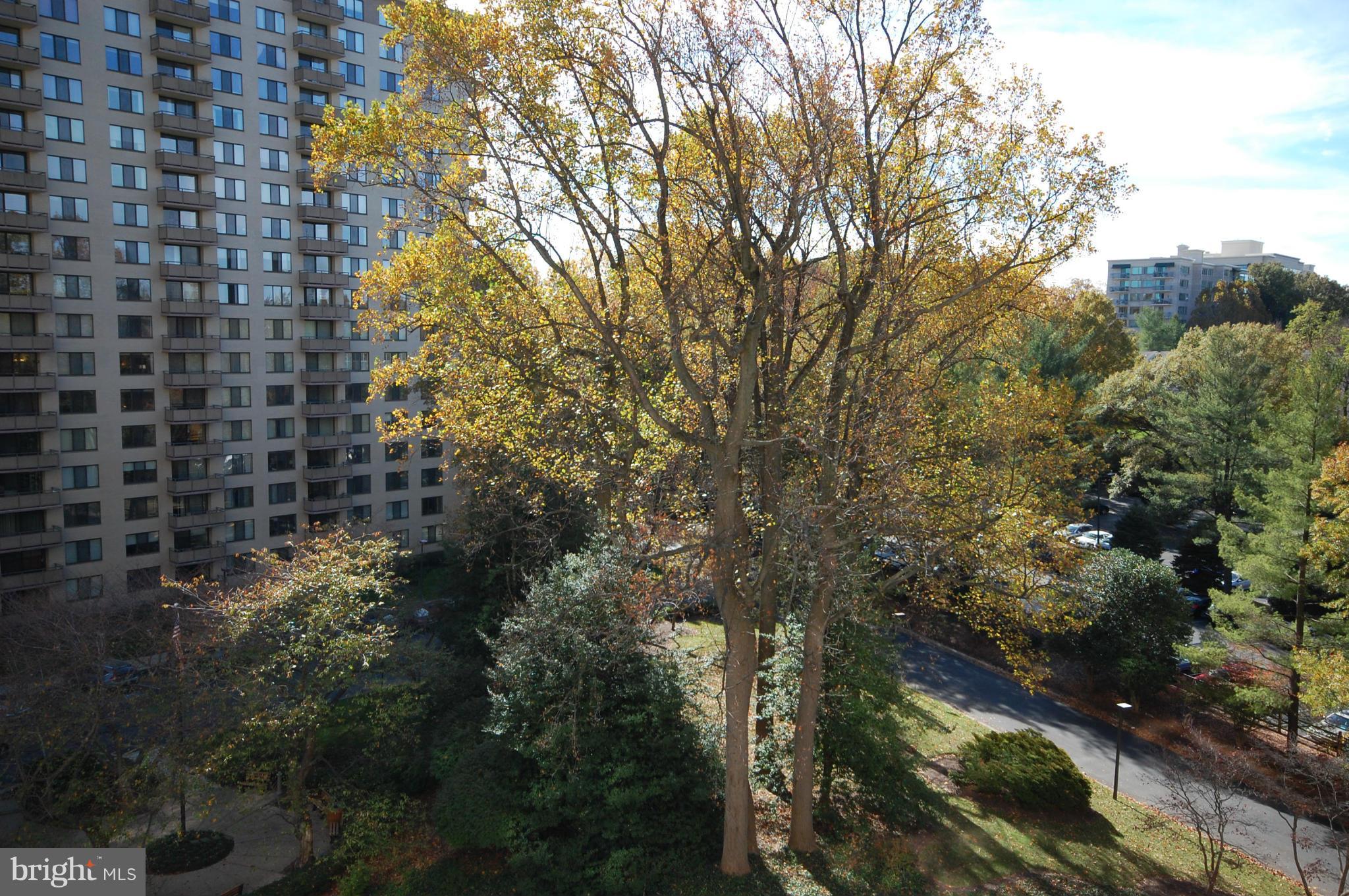 5225 Pooks Hill Road, Unit 809N Bethesda, MD 20814 - Photo 22 of 22 View from balcony