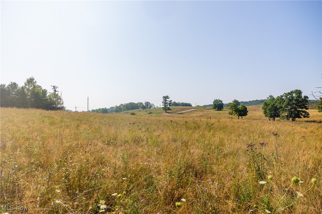 Lewis Road Salineville, OH 43945 - Photo 8 of 14 View of local wilderness with rural landscape