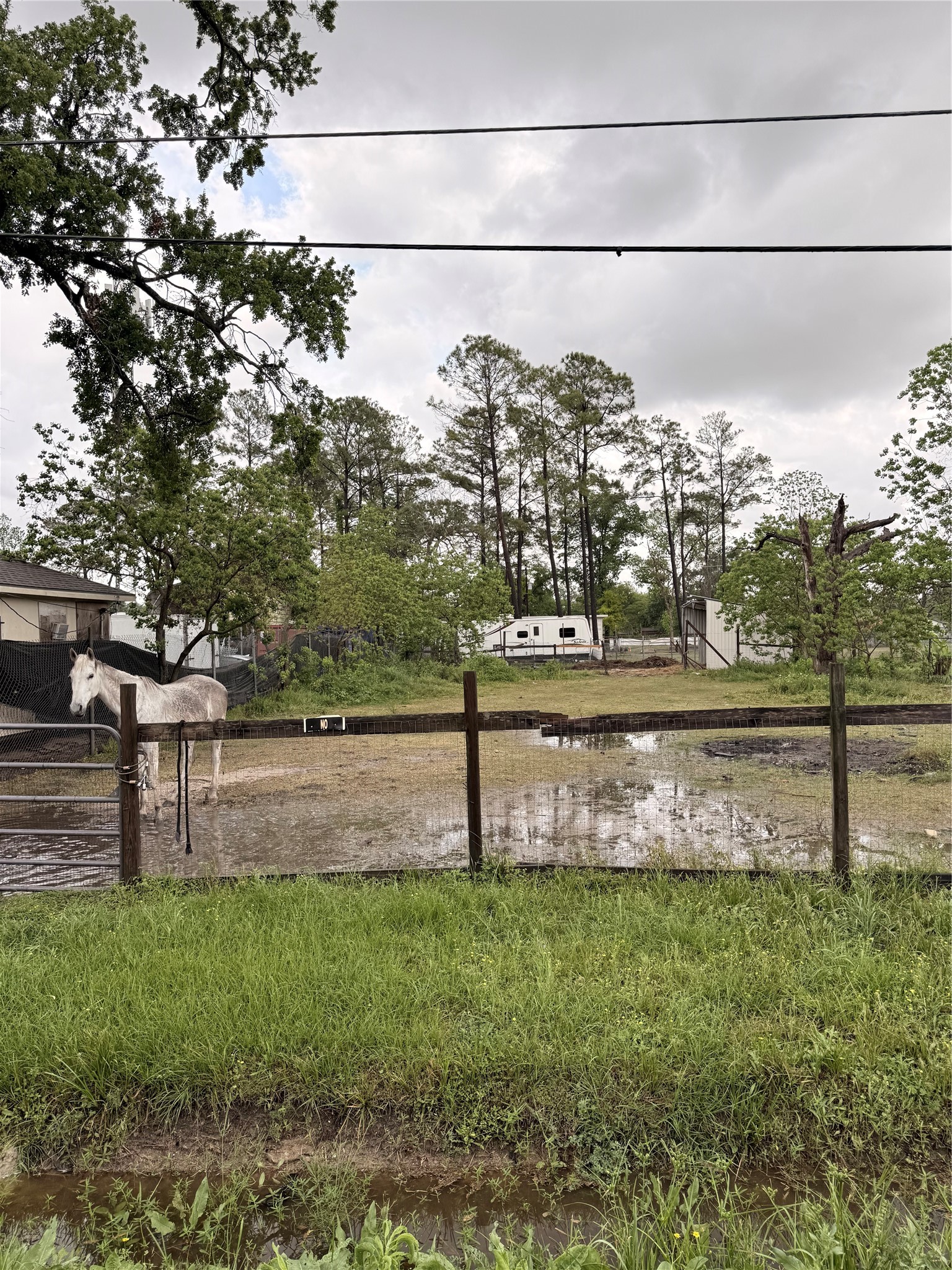 0 Heatherside Street Houston, TX 77016 - Photo 4 of 7 a view of a yard