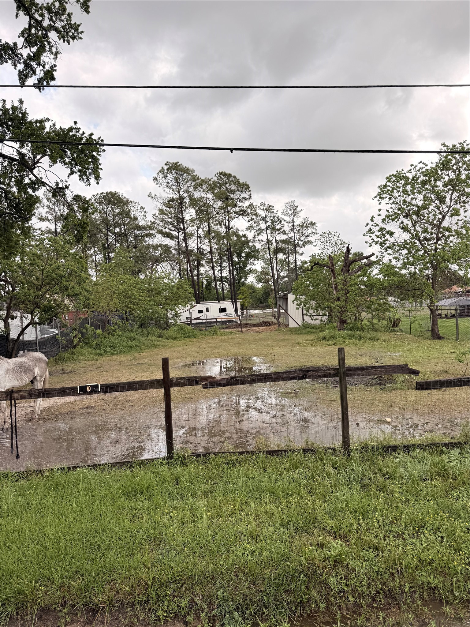 0 Heatherside Street Houston, TX 77016 - Photo 6 of 7 a view of a yard with a street