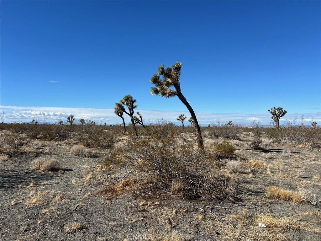 0 Silver Rock Road Phelan, CA 92371 - Photo 2 of 4 a view of a sky
