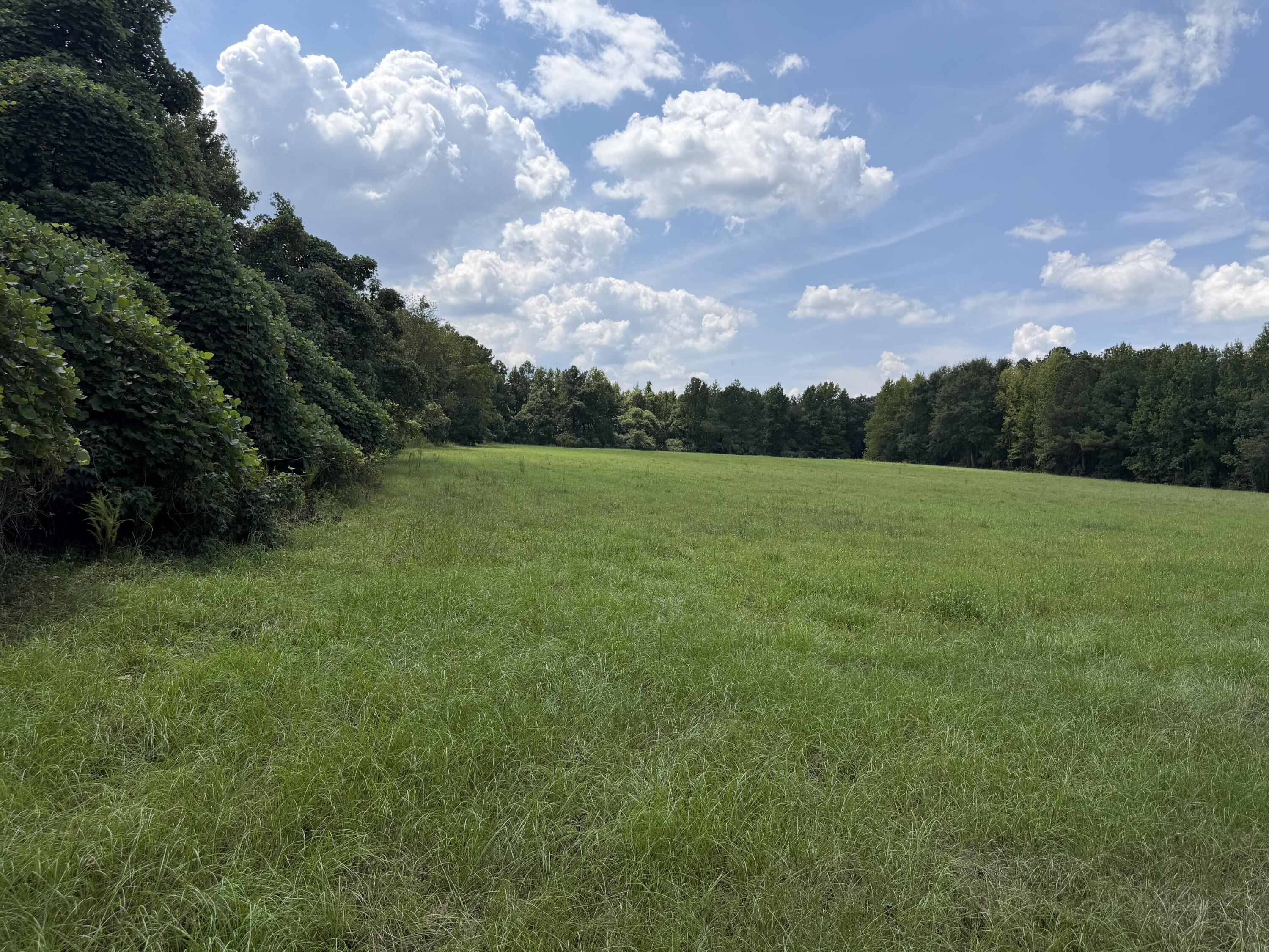 286 Shrike Road St. Matthews, SC 29135 - Photo 14 of 19 IMG_0671