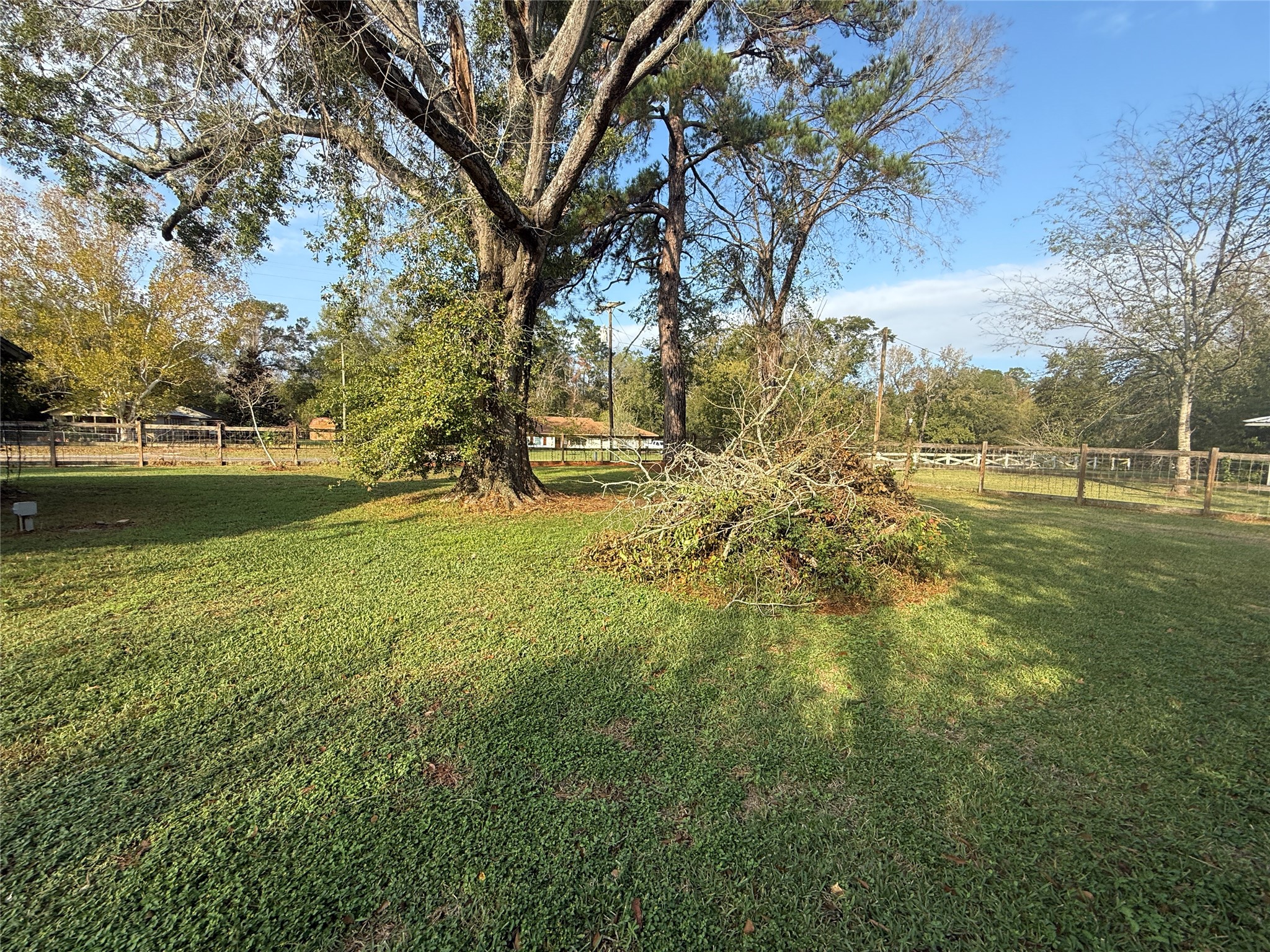 795 Highway 393 Loop Goodrich, TX 77335 - Photo 7 of 22 a view of yard with large trees