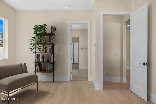 a living room with furniture and a potted plant