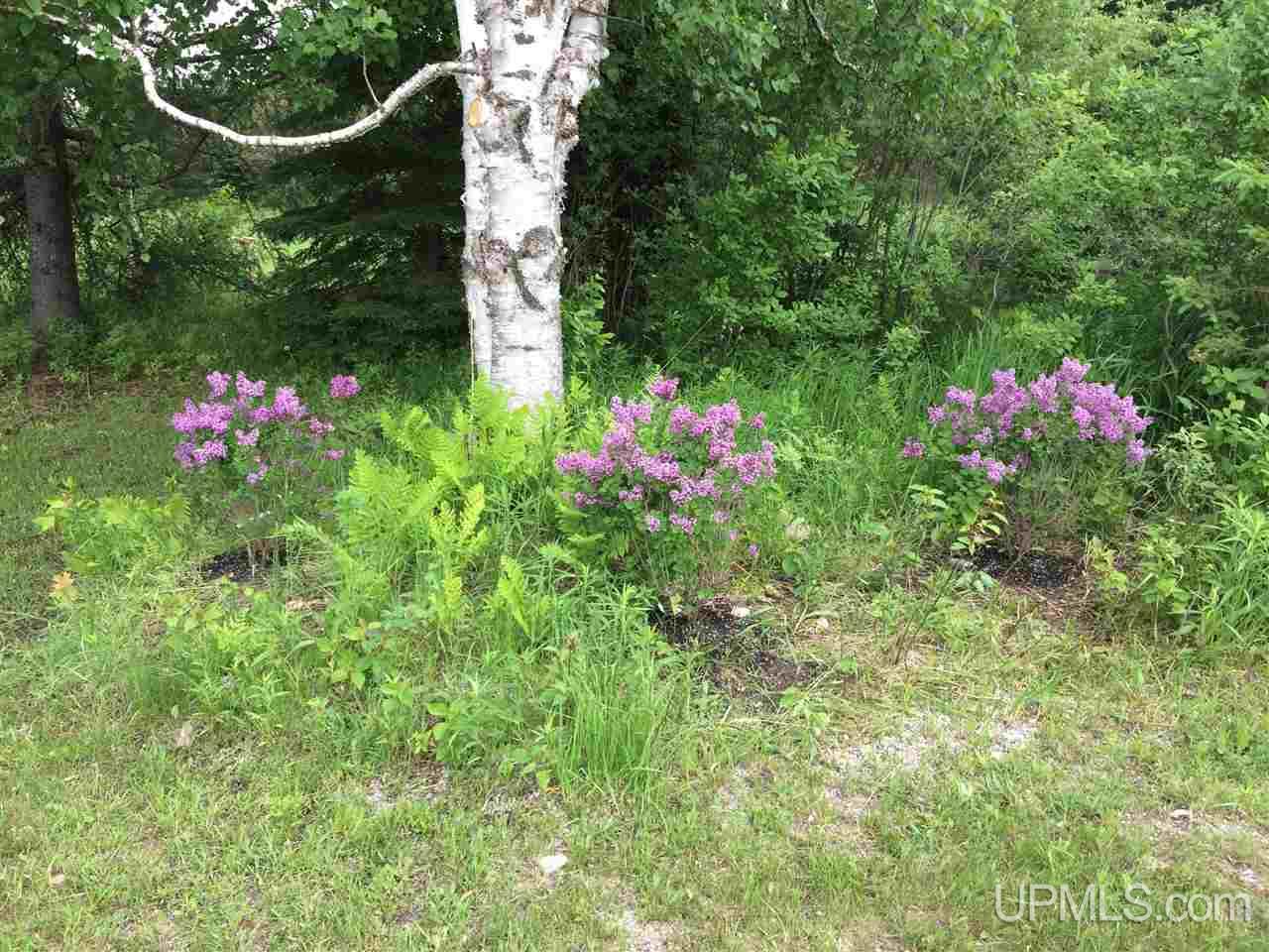 7936 Cornell Road Germfask, MI 49836 - Photo 16 of 49 Gallery Image 16