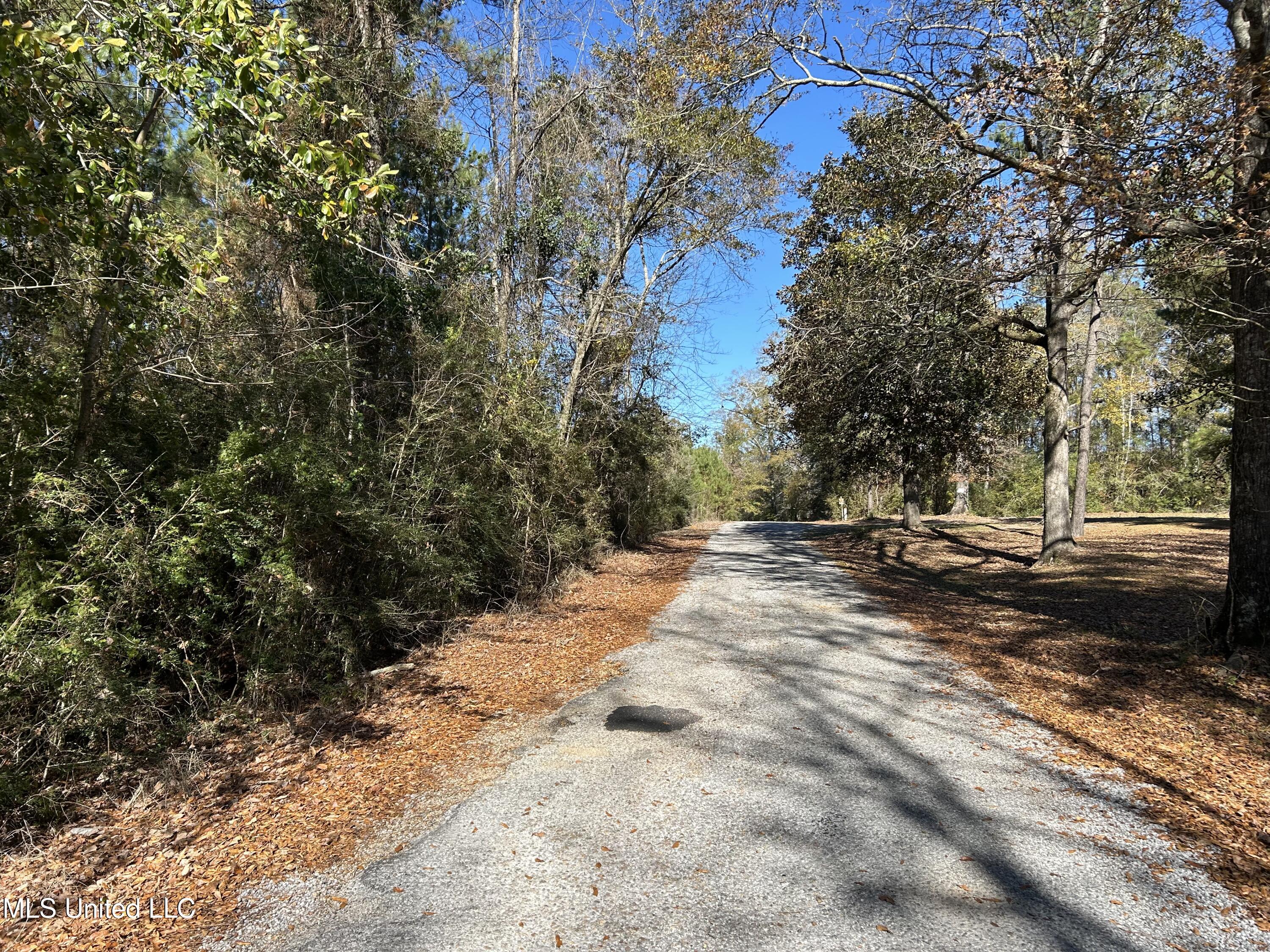. Dwain Road Osyka, MS 39657 - Photo 29 of 31 IMG_1492