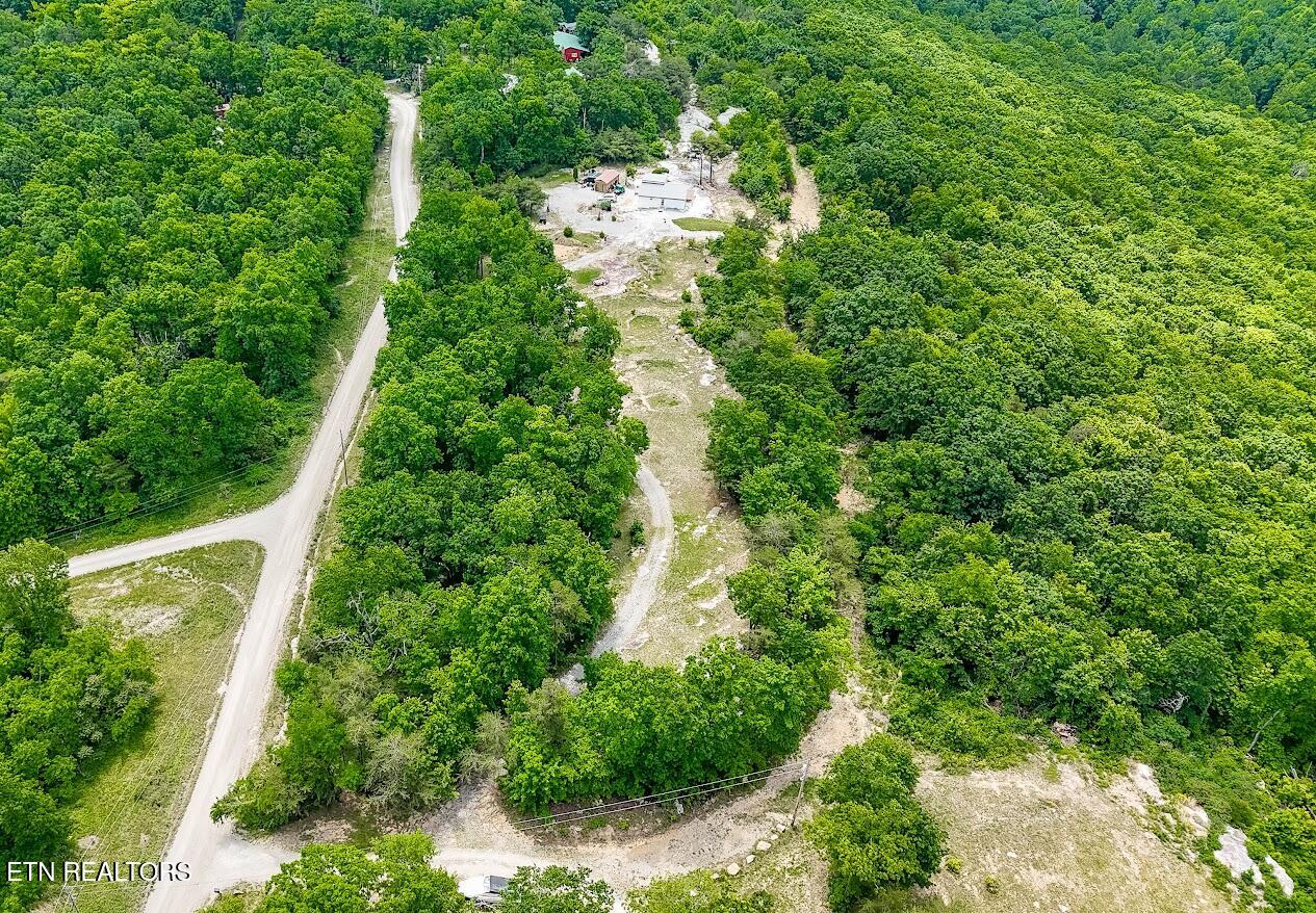 1407 Holloway Ridge Road Spring City, TN 37381 - Photo 13 of 60 140712