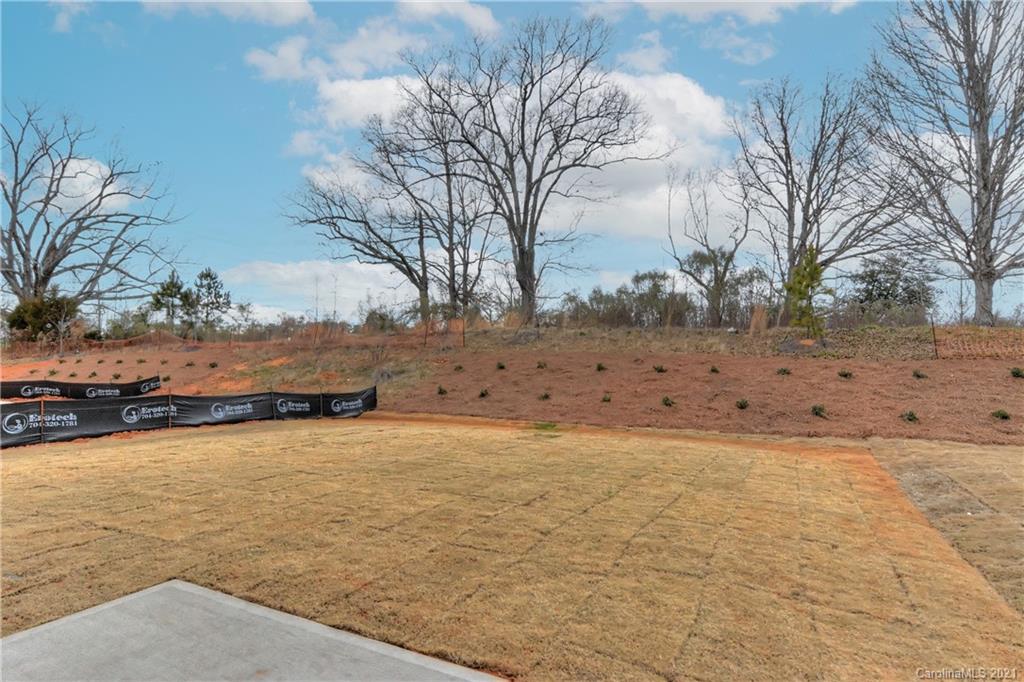 2014 Blue Pond Road Matthews, NC 28104 - Photo 32 of 32 a view of yard with trees