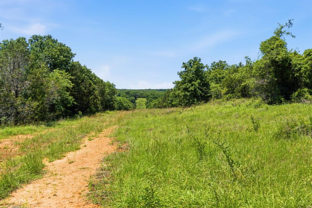 4320 Dobbs Valley Road Millsap, TX 76066 - Photo 15 of 40 a view of a yard with a tree