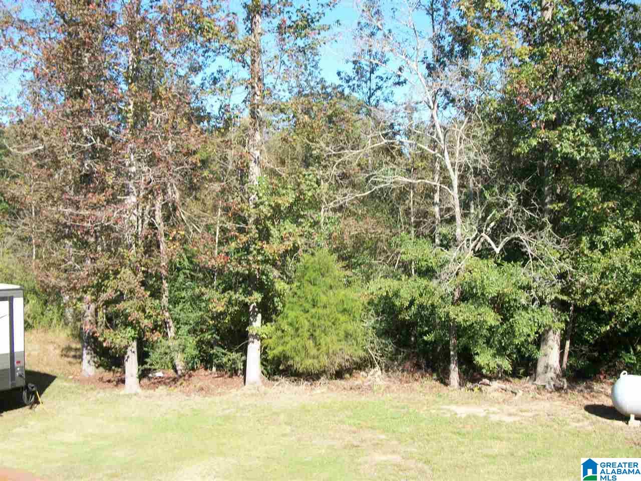 422 Twin Ridge Circle Lincoln, AL 35096 - Photo 27 of 39