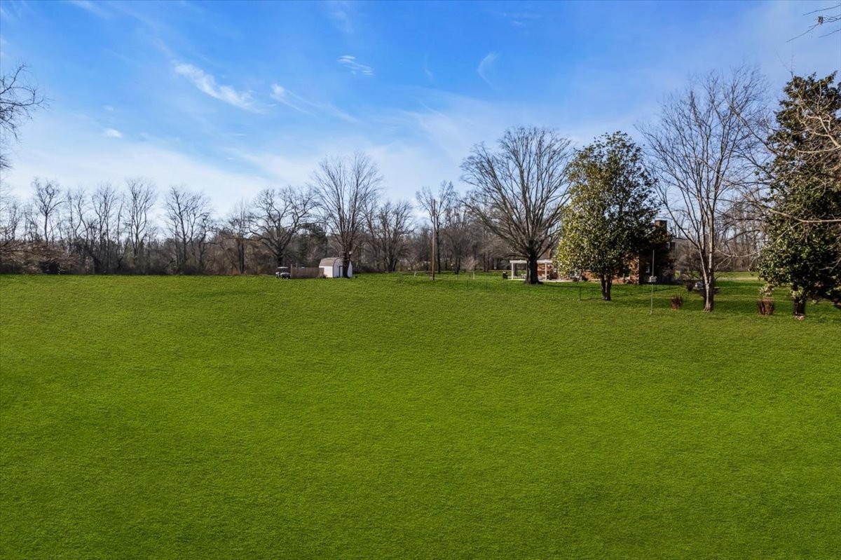 251 Miller Road Hillsboro, TN 37342 - Photo 78 of 80 a view of a field with trees in the background